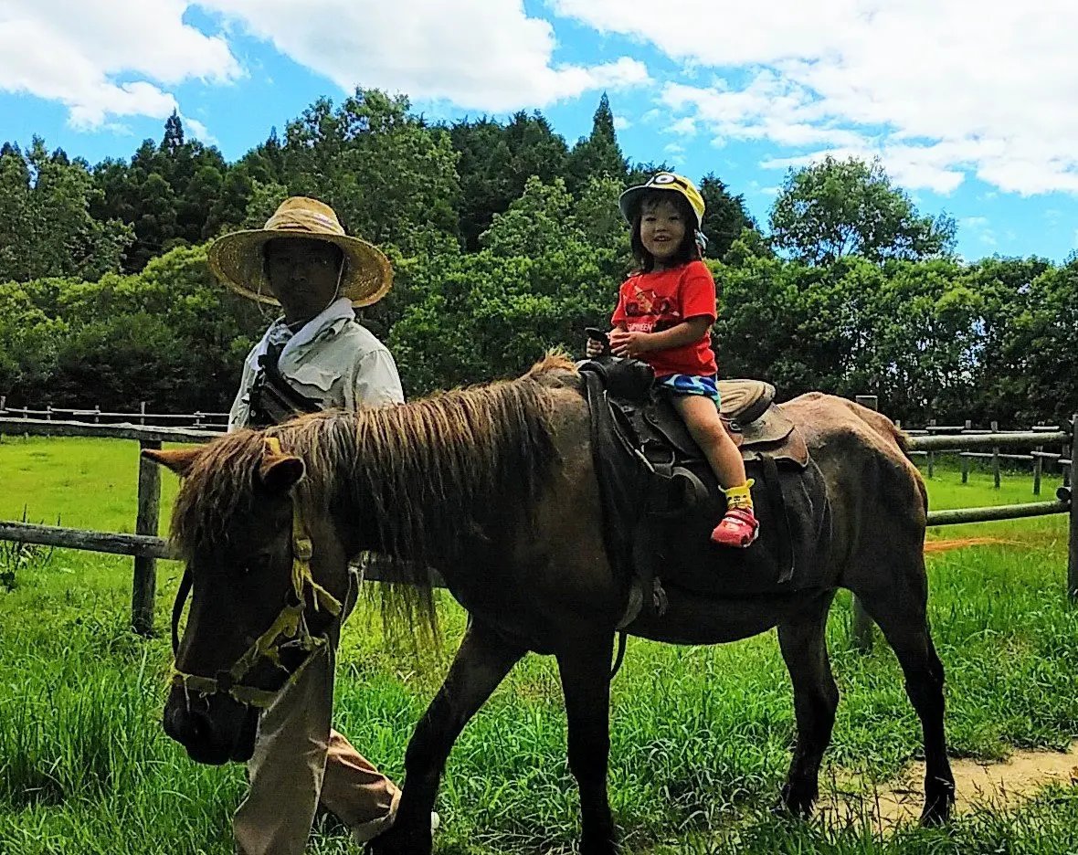 🏞️ 미쓰세 루베르 목장 돈구리 마을(미쓰세루베르보쿠조 돈구리무라) 이미지 3